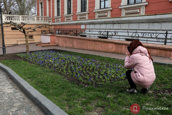 Краски, которых всем на не хватало: большая прогулка по расцветающей Одессе. Фоторепортаж