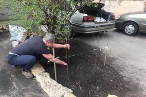 За мини-сад и ремонт подъезда: в Одессе женщина подала в суд на соседа