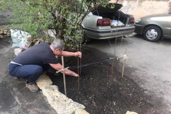 За мини-сад и ремонт подъезда: в Одессе женщина подала в суд на соседа