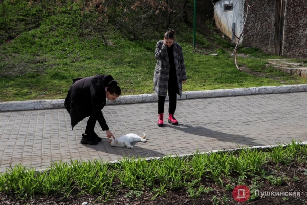 Краски, которых всем на не хватало: большая прогулка по расцветающей Одессе. Фоторепортаж