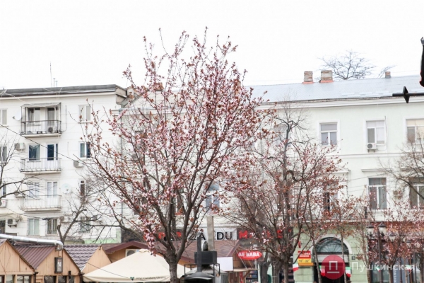 Краски, которых всем нам не хватало: большая прогулка по расцветающей Одессе. Фоторепортаж