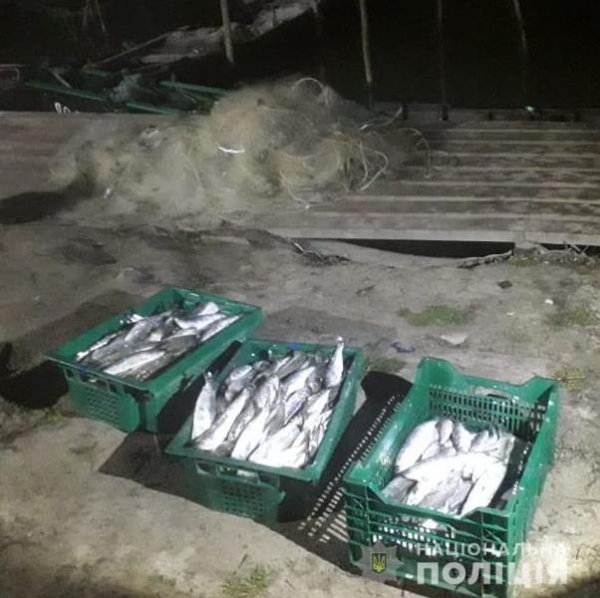 Водная полиция задержала двух пожилых рыбаков за незаконный вылов «дунайки» 