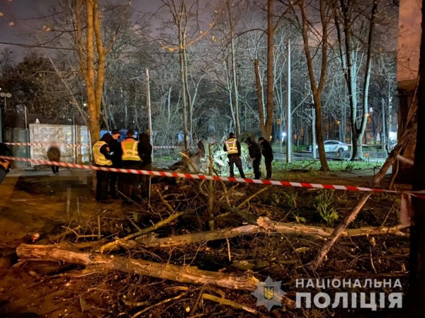 Смертельное ДТП в Одессе: автомобиль слетел с дороги и врезался в дерево. Фото, обновлено