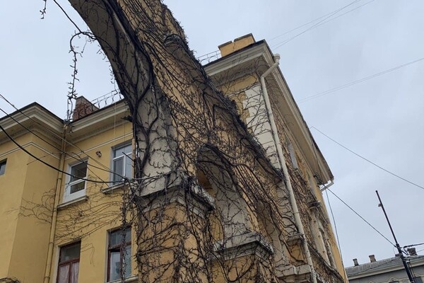 Интересная Одесса: прогулка по Дегтярной улице 