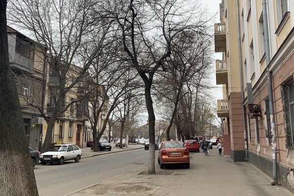 Интересная Одесса: прогулка по Дегтярной улице 