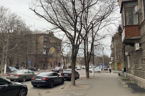 Интересная Одесса: прогулка по Дегтярной улице 