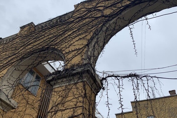 Интересная Одесса: прогулка по Дегтярной улице 