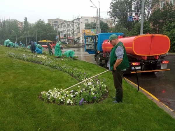 В Одессе продолжают сажать летние цветы и косить траву 