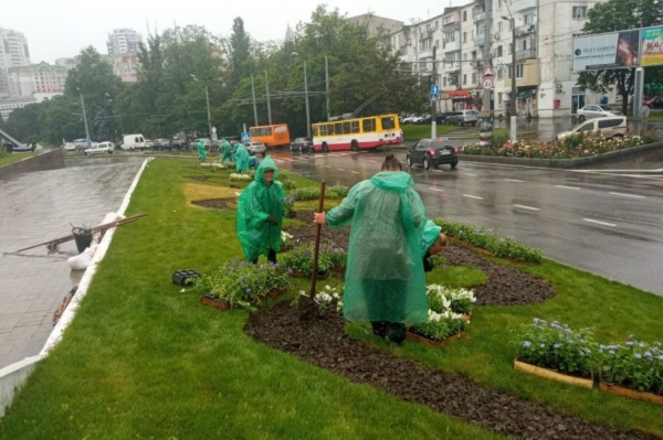 В Одессе продолжают сажать летние цветы и косить траву 