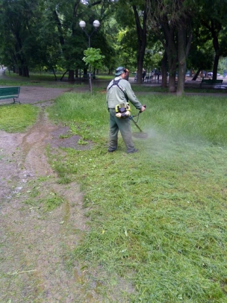 В Одессе продолжают сажать летние цветы и косить траву 