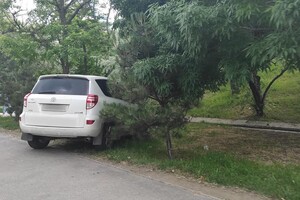 Найдут чем удивить: свежая фотоподборка наглых водителей в Одессе