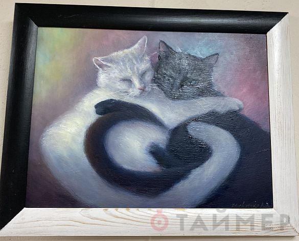 «Кошки Одессы» помогут бродячим животным