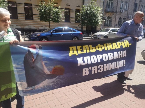 
                                                                        "Эвтаназия для живодеров": зоозащитники требуют запретить дельфинарии и легальные забои
                                                                                                                                                                                                                    