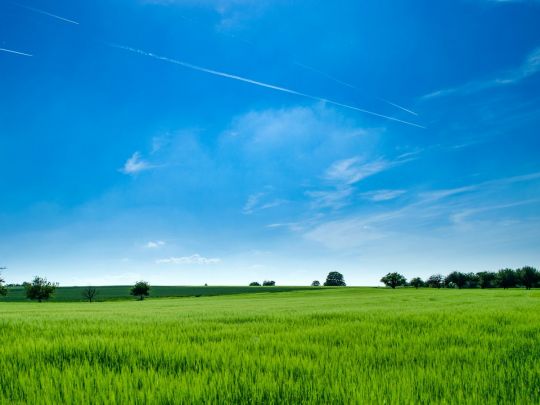 З 1 липня в Україні дозволений продаж землі. Але стати землевласниками можуть не всі