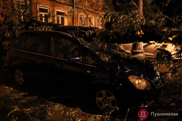 На Колонтаевской дерево упало на автомобиль и это не единственная «жертва» ночного ливня. Фото