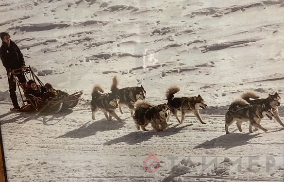 Одесситам в разгаре лета предложили фотопрогулку по зимнему Израилю