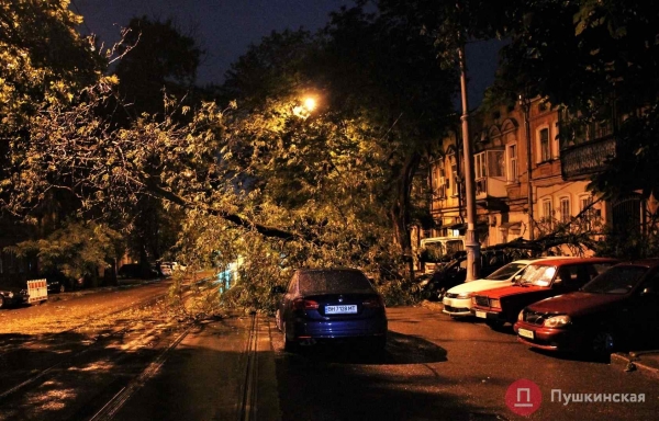 На Колонтаевской дерево упало на автомобиль и это не единственная «жертва» ночного ливня. Фото