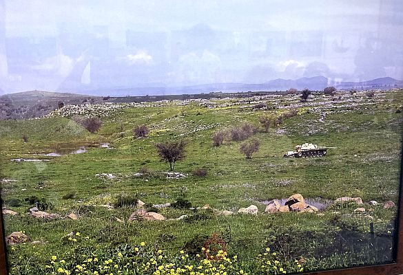 Одесситам в разгаре лета предложили фотопрогулку по зимнему Израилю