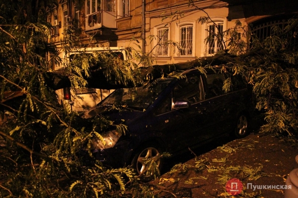 На Колонтаевской дерево упало на автомобиль и это не единственная «жертва» ночного ливня. Фото
