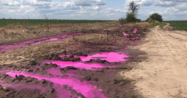 Под Ровно появились ярко-розовые лужи
