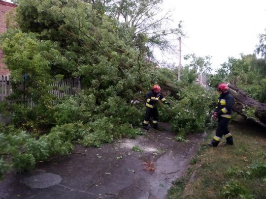 Повалені дерева, затоплені вулиці і крижаний дощ з градом: негода пронеслася по Рівненській області