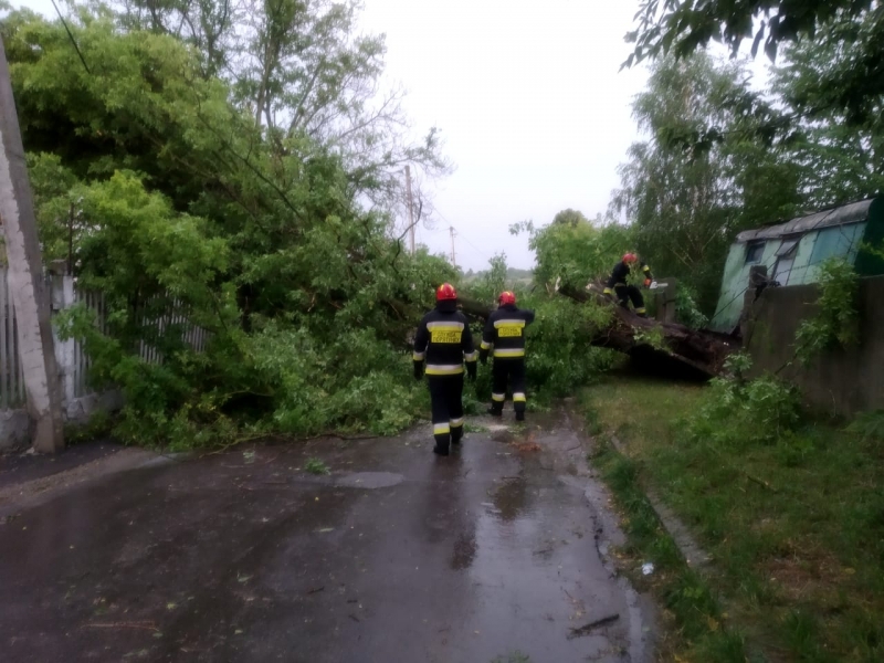 Повалені дерева, затоплені вулиці і крижаний дощ з градом: негода пронеслася по Рівненській області