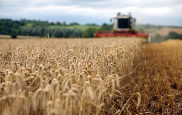 Украина нарастила экспорт агропродукции в ЕС