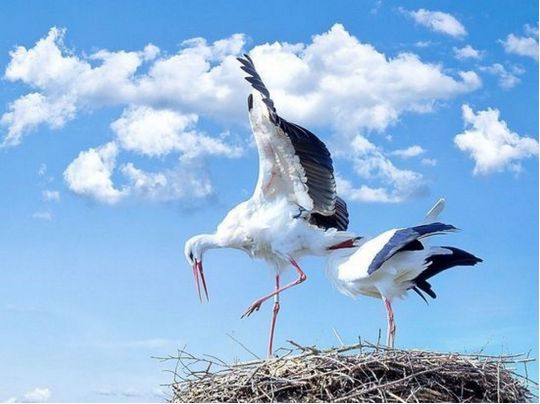 День пам'яті Пимена Печерського: що християнам можна робити 20 серпня, а від чого краще відмовитися