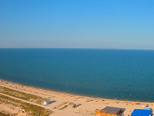 «Нападають і кусають»: туристи скаржаться на нову «напасть» на курорті в Щасливцевому