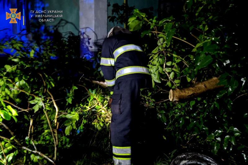 Повалені дерева і електроопори, знеструмлені вулиці, пошкоджені дахи: Кам’янець-Подільський «накрила» негода