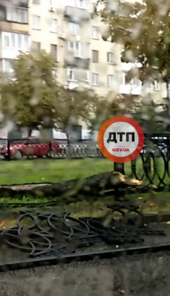 Повалені дерева, «потонулі» авто, затоплені вулиці: вражаючі відео наслідків зливи в Києві