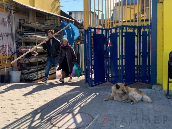 «Красная» зона в Одессе: на промрынках в целом соблюдают ограничения, а в транспорте нет