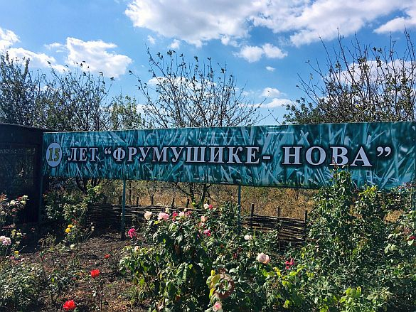 Занимательный этнотуризм: художники со всей страны устроили выставку во Фрумушике