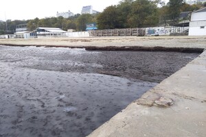 Наплыв водорослей и медуз: пляж "Отрада" сильно загрязнился