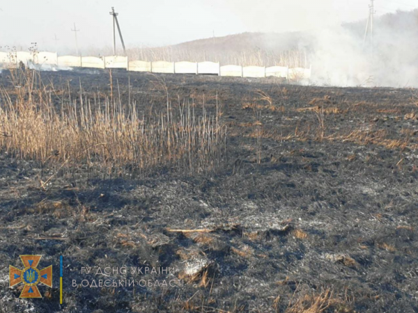 В Одесской области чуть не сгорело кладбище 