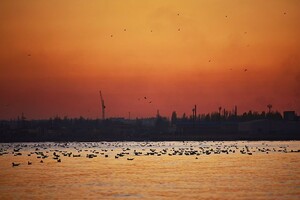 Холодный ноябрь: полюбуйся закатами и рассветами в Одессе