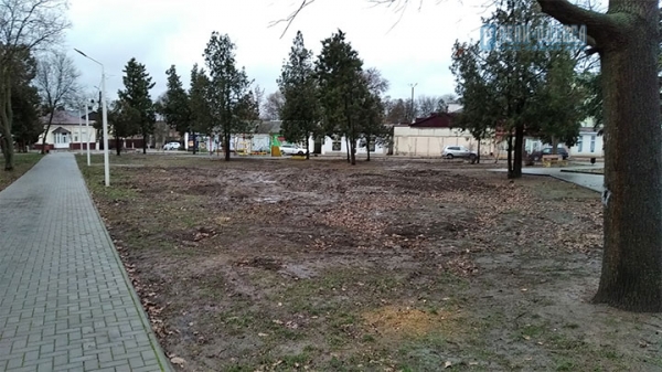 В главном парке Рени собираются срубить полсотни акаций, вязов и тополей 