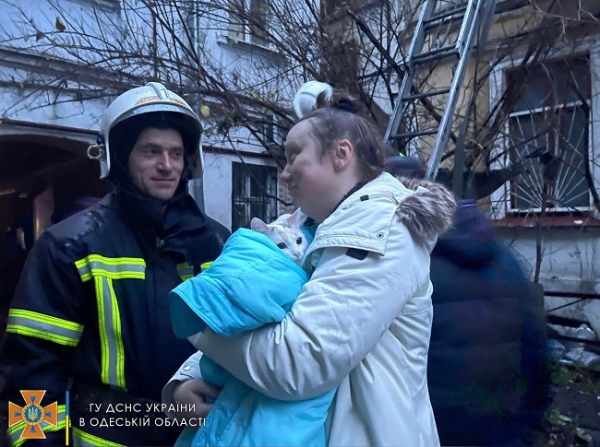 Пожар на Малой Арнаутской: хозяин захламлённой квартиры погиб, а кошку эвакуировали