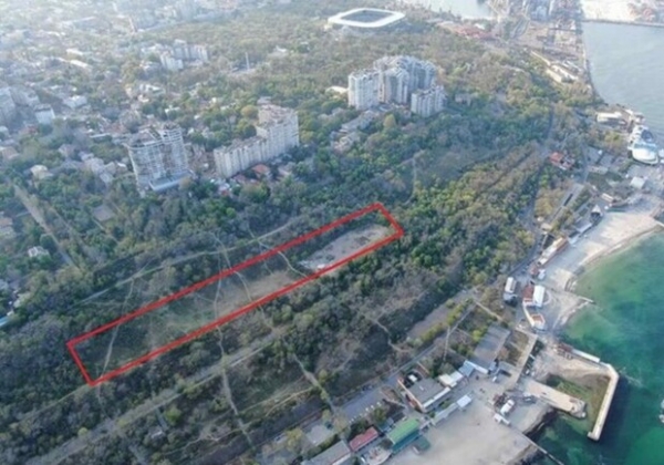 Парк на склонах Трассы здоровья: уже появился тендер