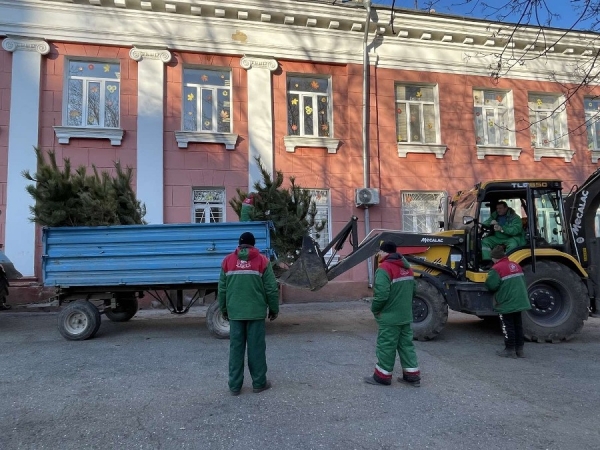 Одессу засаживают соснами 