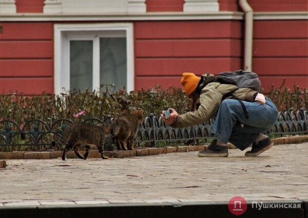 Позитив, несмотря на погоду: как центр Одессы встретил первое утро нового года. Фоторепортаж Позитив, несмотря на погоду: как центр Одессы встретил первое утро нового года. Фоторепортаж