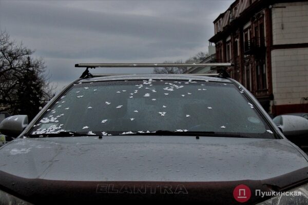 Позитив, несмотря на погоду: как центр Одессы встретил первое утро нового года. Фоторепортаж Позитив, несмотря на погоду: как центр Одессы встретил первое утро нового года. Фоторепортаж