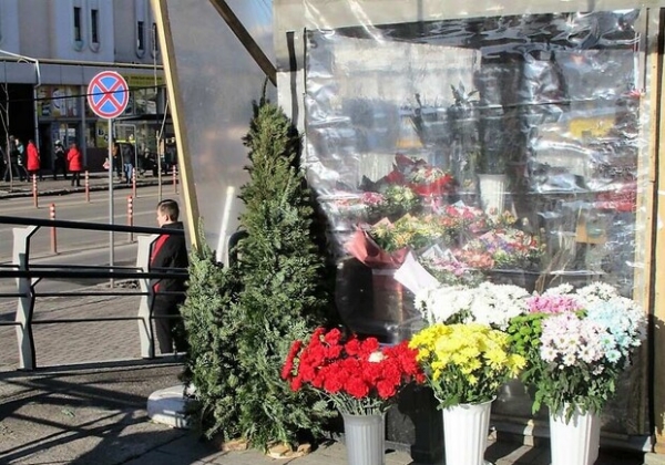 Чисто одесская история: на Привозе торгуют елками даже после Нового года