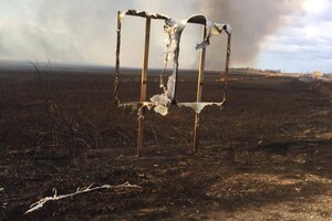 Могут пострадать жилые дома: под Одессой горят плавни (видео, обновлено)