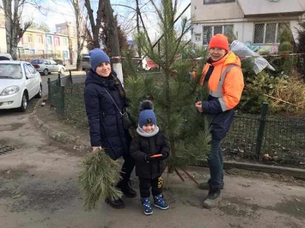 Одесситы сдали на переработку уже 960 ёлок