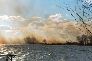 Могут пострадать жилые дома: под Одессой горят плавни (видео, обновлено)