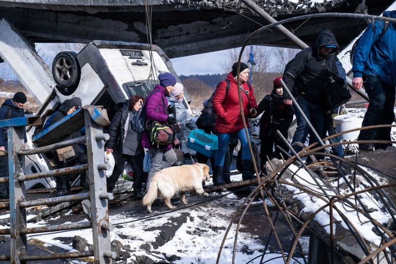 Хтось несе свою тварину 17 км, а хтось дзвонить ветеринарам і цікавиться евтаназією, — волонтер Віталій Дайнега