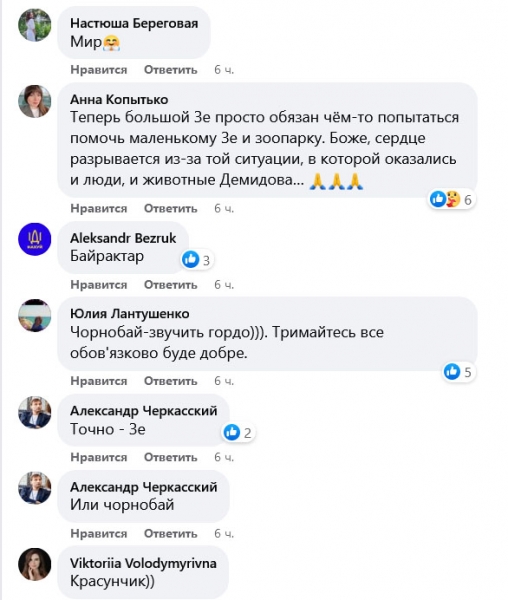 Назвали «Маленький Зе»: під Києвом в екопарку народилося кумедне дитинча зебри