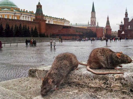 Розкол еліт і паніка: Христо Грозев про ситуацію у Москві