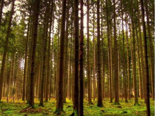 Воєнні злочинці з Московії планують чергову екокатастрофу в Україні